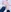 プリンス限定👑裸エプロン💗+🐮ビキニ