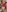 Fantasie-Hot-Sarah's photo