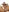 Quin_Carin1's photo