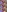Mia_Juicyberry's photo