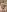 Realybigdill's photo
