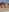 ♀️♀️Bikini Babes