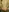 hotbdsmcouple's photo