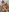 opiumgirll's photo