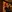 LaraQ's photo