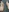 Zarayuce's photo