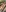 Exclusive bikini photos