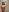 nude selfies for u