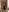 SilverBeste's photo