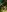 karla_clark's photo