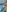 pool stream previews