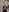 Adelina_Langoria's photo
