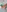 _mirabella's photo