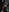 elise_sweet's photo