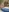 Courtesanannabel's photo