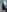 Camera roll from 2019 to 2026