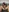 🤩 Quand Lana prend son pied en live 🤩