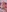 Evelynn's photo