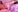 Sasha_moormeoow's photo
