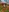 selenaluvv's photo