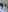 Evangel11's photo