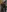 Ema_Goldman's photo