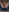 canadiancougar1965's photo