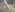 DeepSecret0's photo
