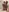 xoey_li's photo