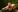 LaraQ's photo