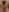 SilvyDiamond's photo
