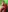 jessicasexs's photo