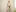 clementine's photo