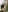 whisper_of_love's photo