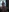 lynxman's photo
