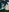 KaoriFox's photo
