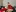 christmas pics