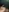 lilly_jackson's photo