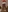 NataKitten's photo
