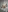 MiaBurkaa's photo