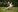 Irenea's photo