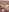 ElzaJons's photo