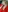 Yoki_Shizuko's photo