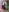 Silvia_Santorskii's photo