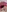 Evelynn's photo