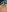 lapousse3's photo