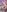 Late bulk nude album 2025