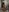 Alika_Beda's photo