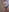 Milfshakecafe's photo