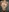 an attempt to surprise you with photos